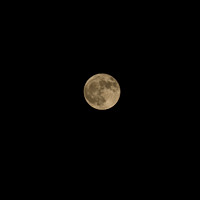1/125, 4/11, ISO 100, 400mm