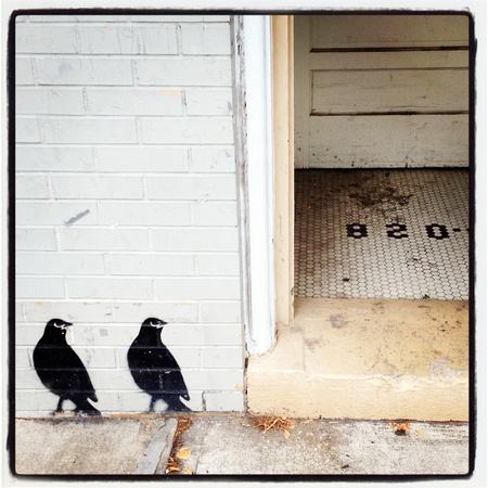 Mass Street Blackbirds