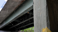 Spider Web Under the Kansas River Bridge
